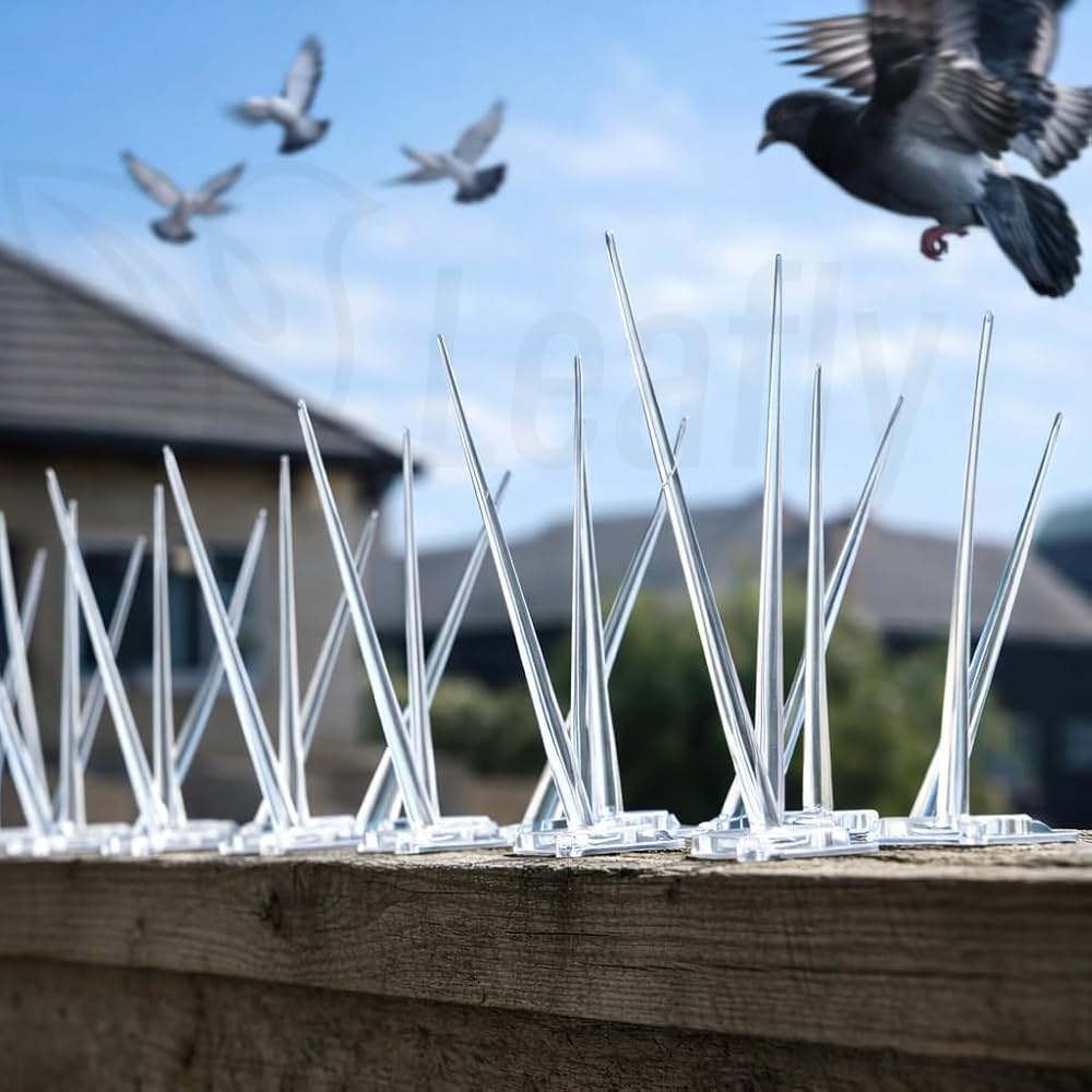 Bird Spike